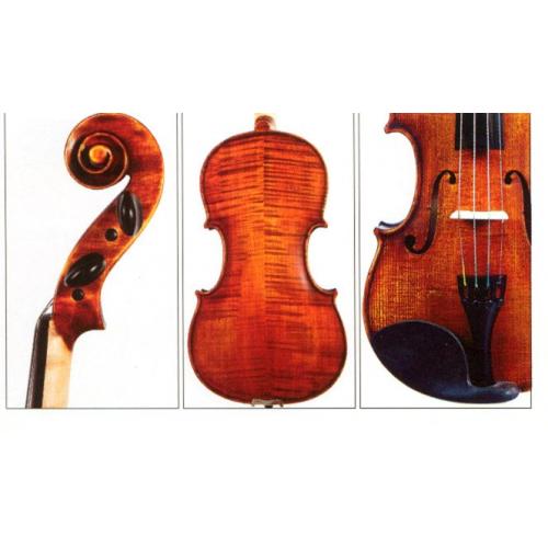 Mid Range Violins - Vivace Music Store Brisbane, Queensland's Largest